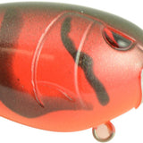 Red Bug