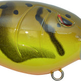 Spring Craw