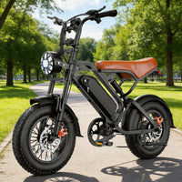 48V15Ah Fat Tire E bike
