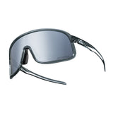 Bright Dark Gray(Polarized lens)