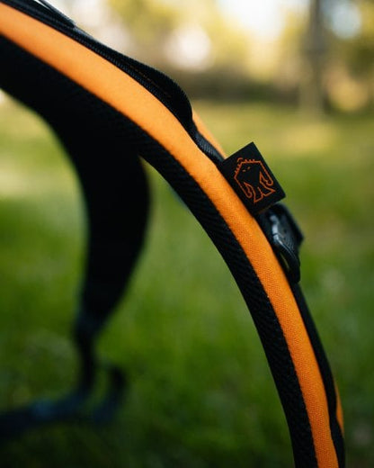 Disc Golf Backpack source view 96