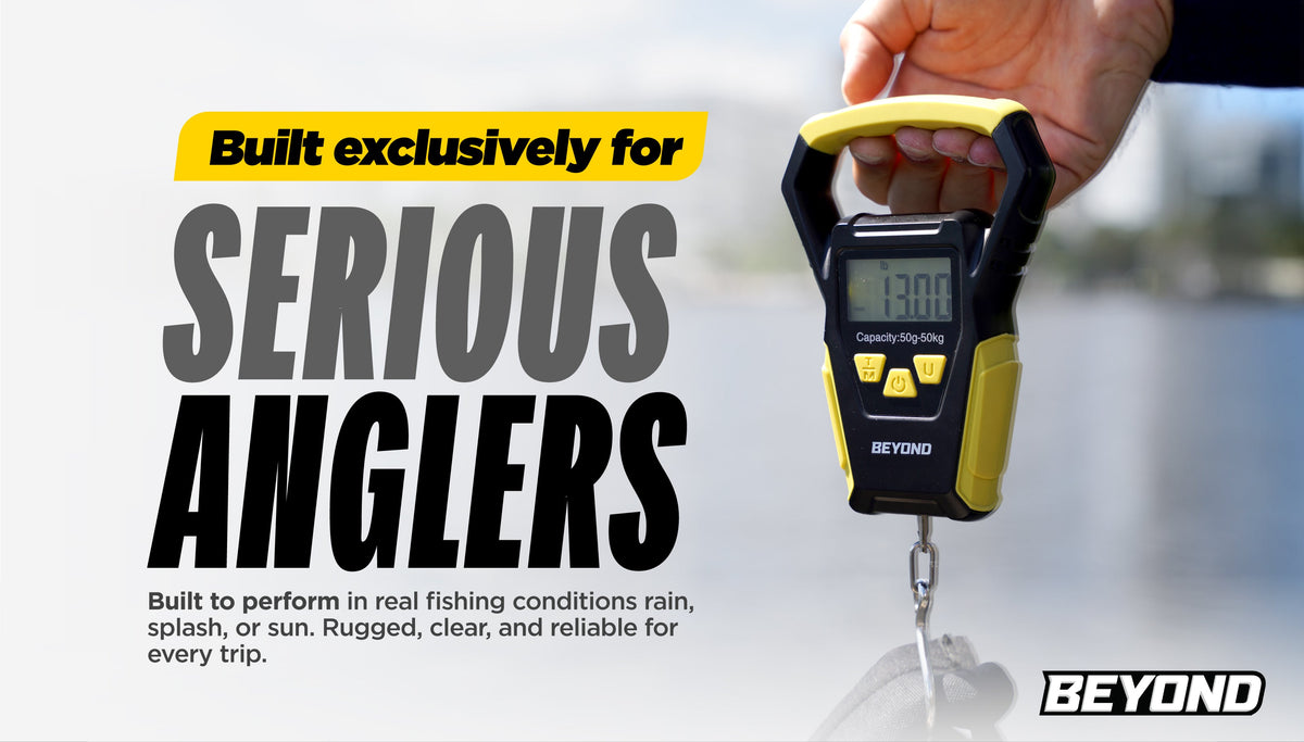 Fishing Scale source image 9