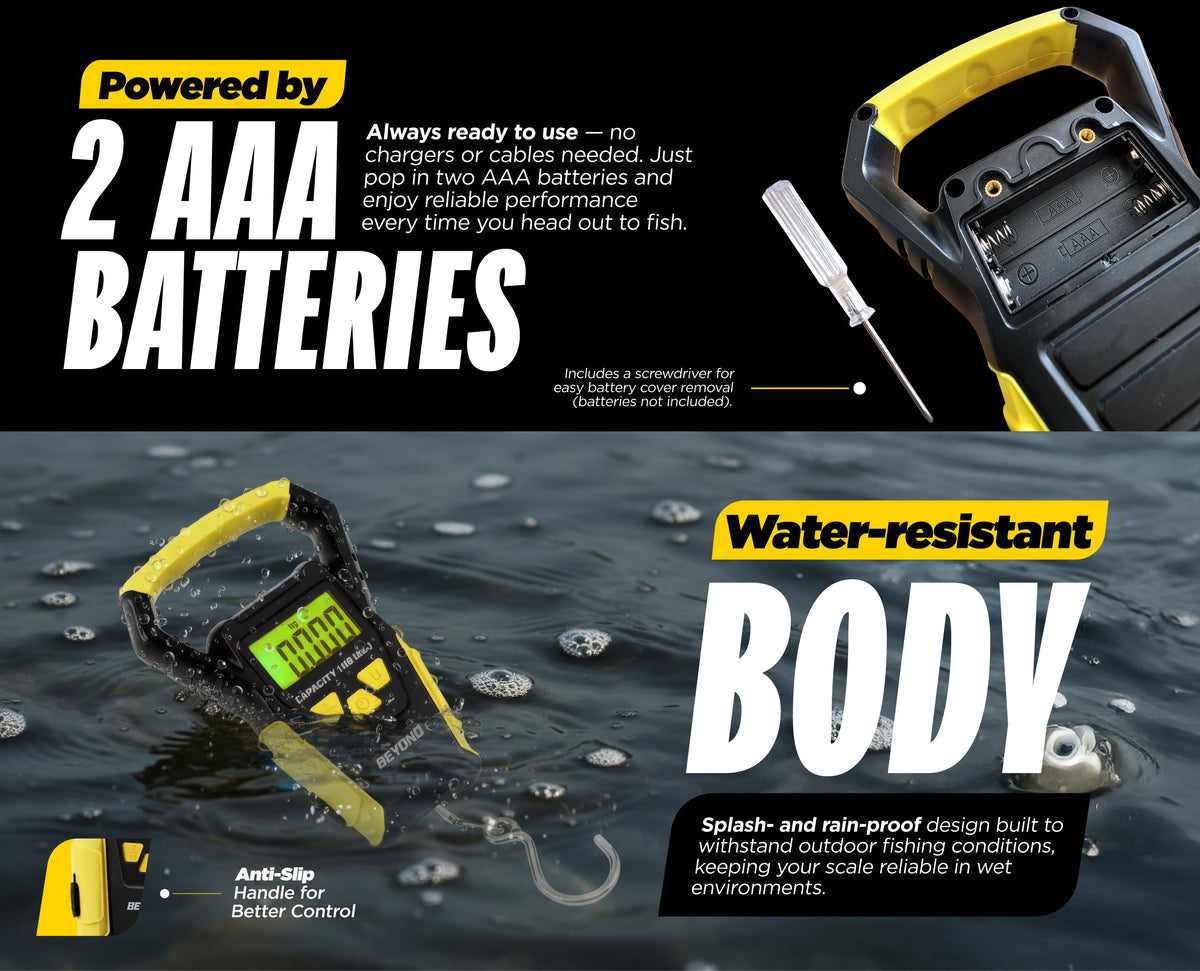 Fishing Scale source image 12