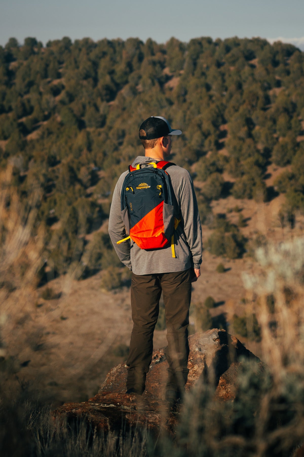Hiking Backpack original source view 8