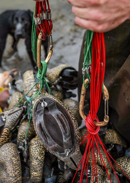 Carabiner original source image 4