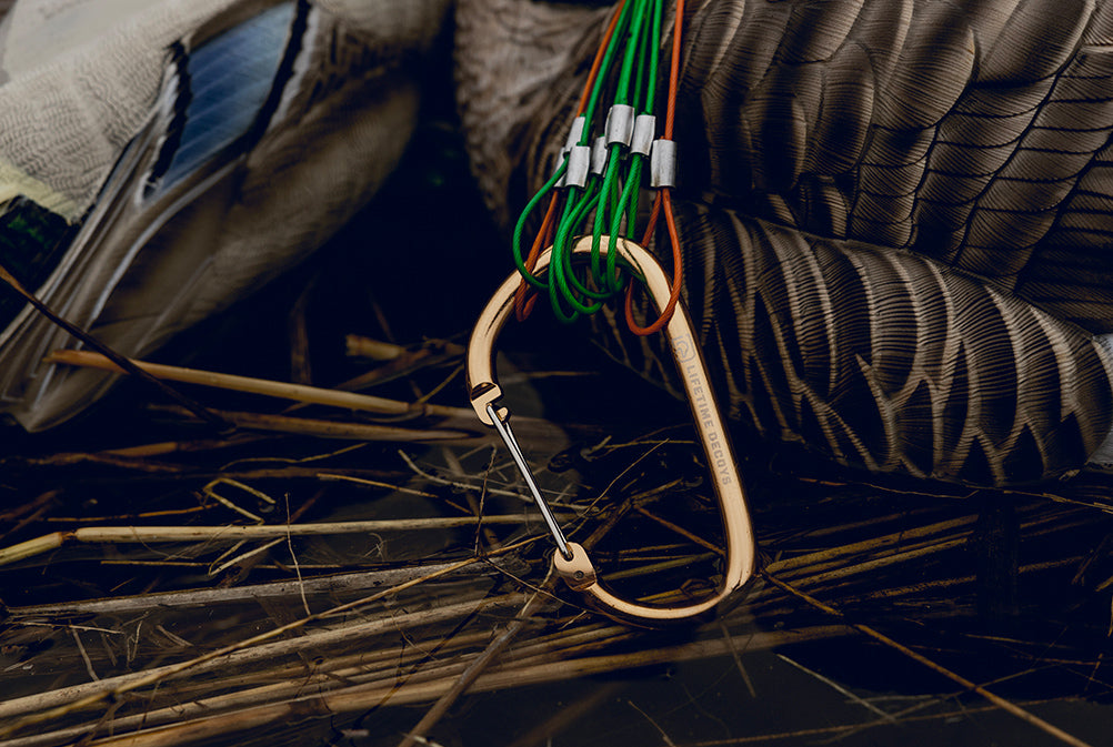Carabiner original source image 6