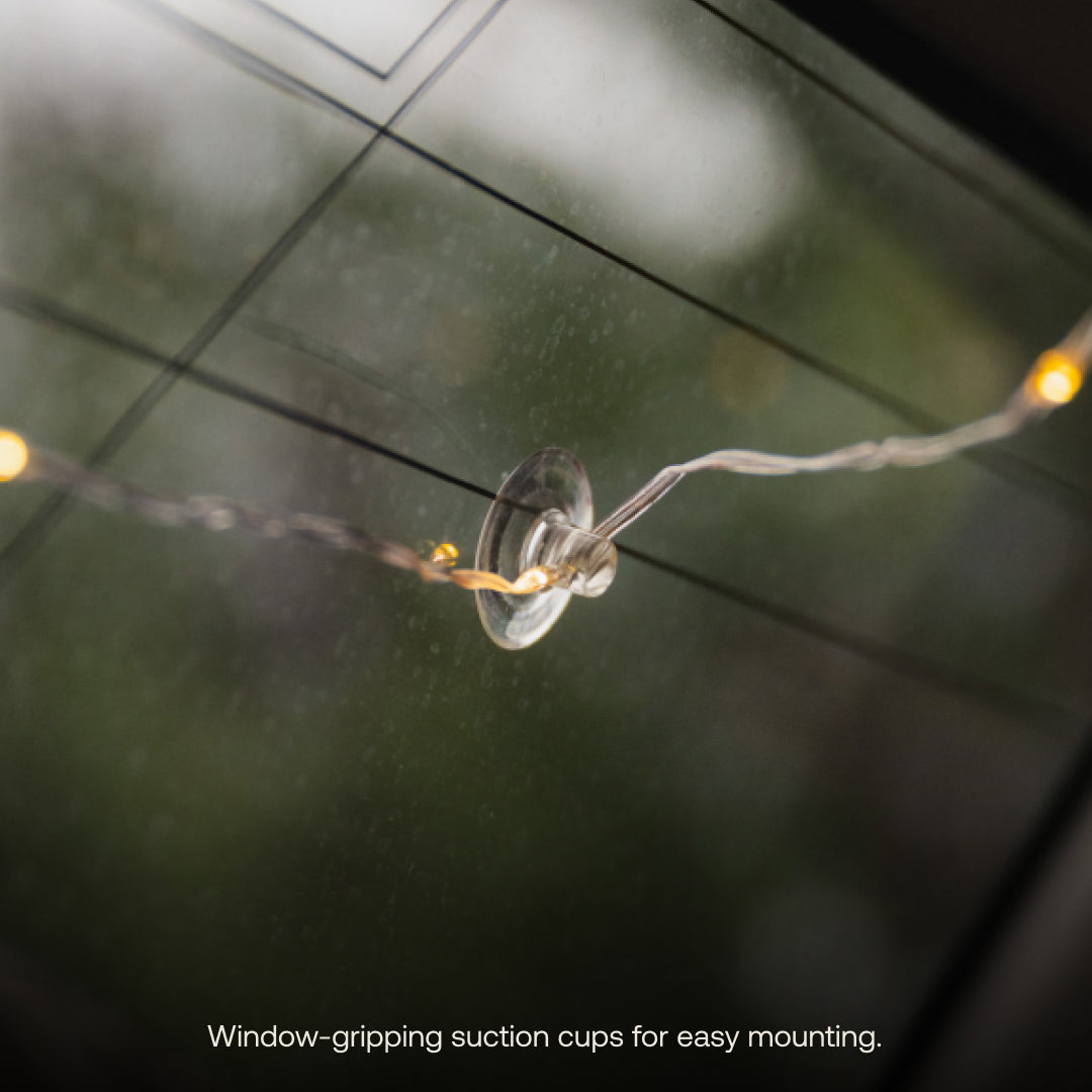String Lights