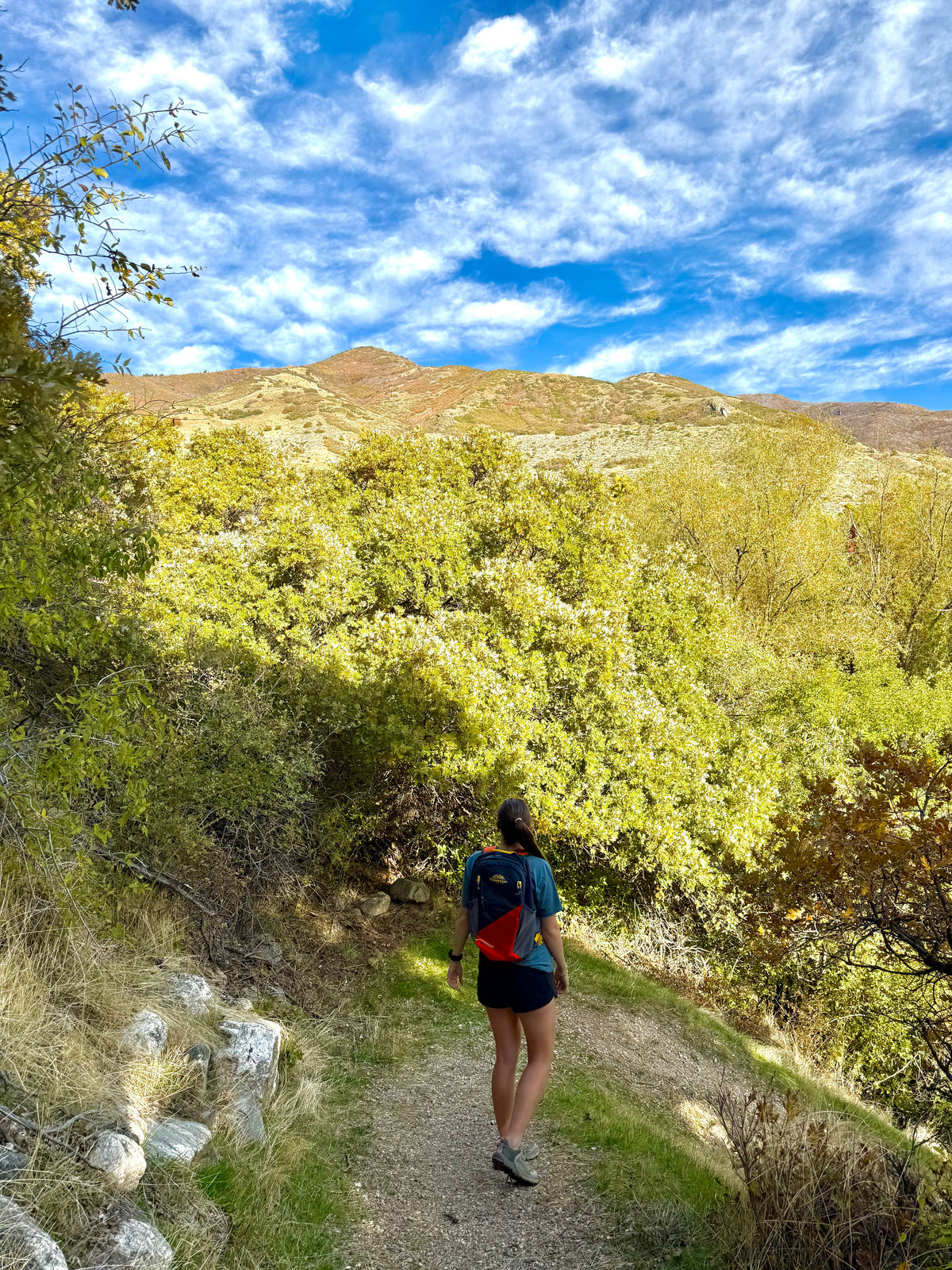 Hiking Backpack original source view 12
