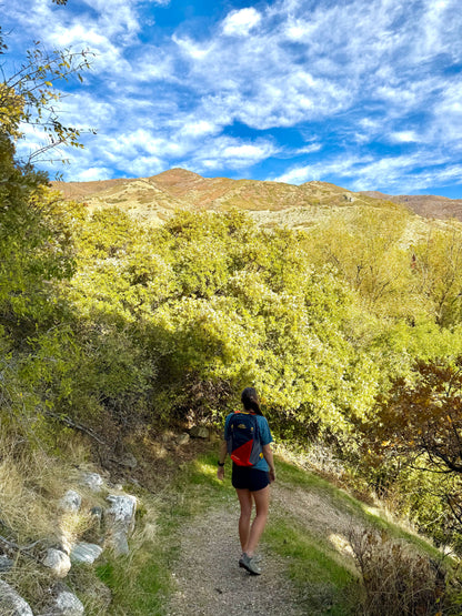 Hiking Backpack original source view 12