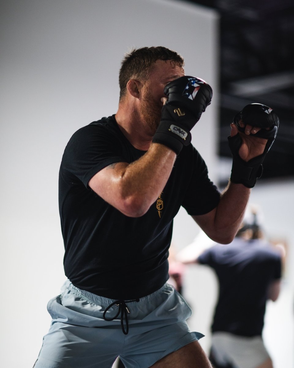 MMA Sparring Gloves original source image 4