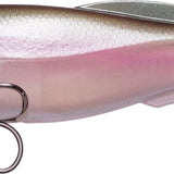 MB Gizzard - 6 inch - 1 1/4 oz