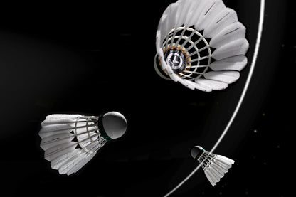 Badminton Shuttlecock original source image 10