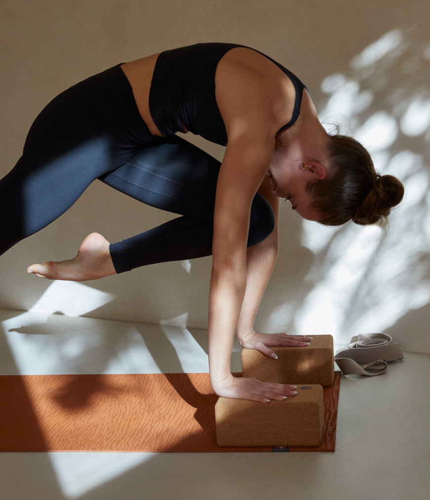 Cork Yoga Block source gallery image 7