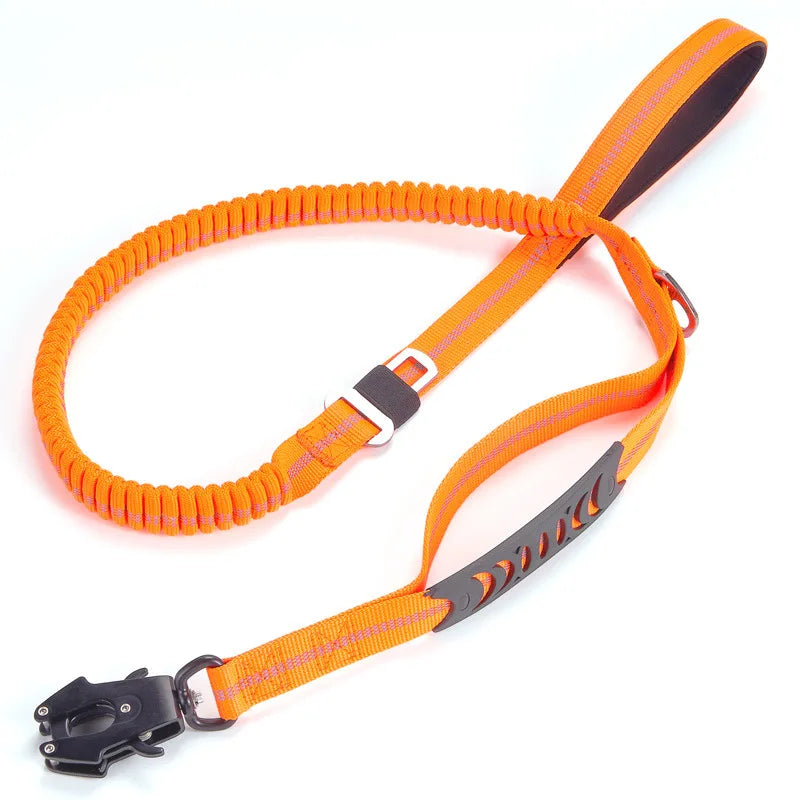 Dog Leash original source image 11