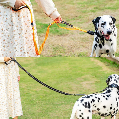 Dog Leash original source image 2