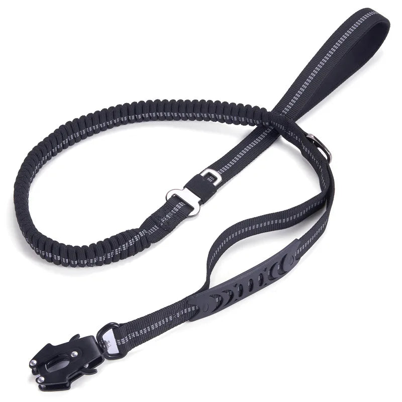 Dog Leash original source image 9