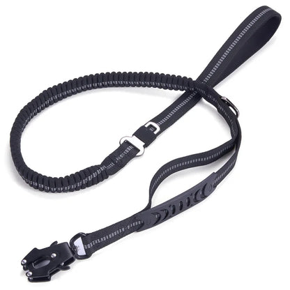 Dog Leash original source image 9