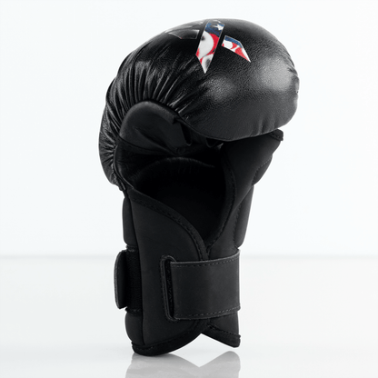 MMA Sparring Gloves original source image 5
