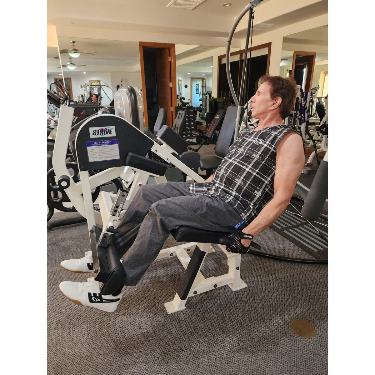 Gym Pants original source image 2