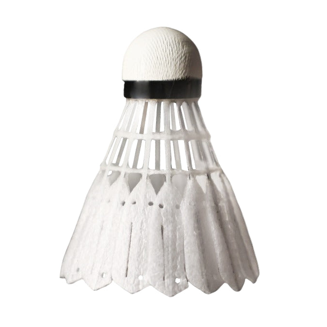 Badminton Shuttlecock original source image 2