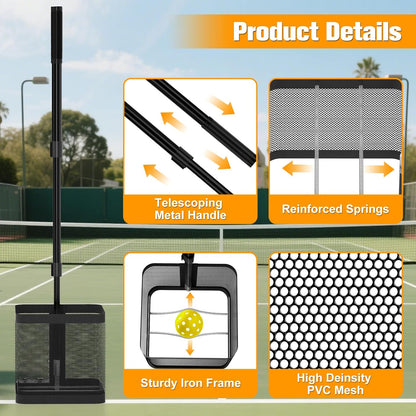 Pickleball Collector original source image 2