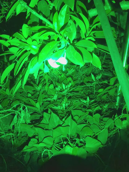 Night Hunting Flashlight with Remote Control Switch – 350 Yards High Power Green Red White Light, 18650 Rechargeable, Multiple Mounts for Hunting, Fishing, Camping & Beekeeping, Best Gift for Men