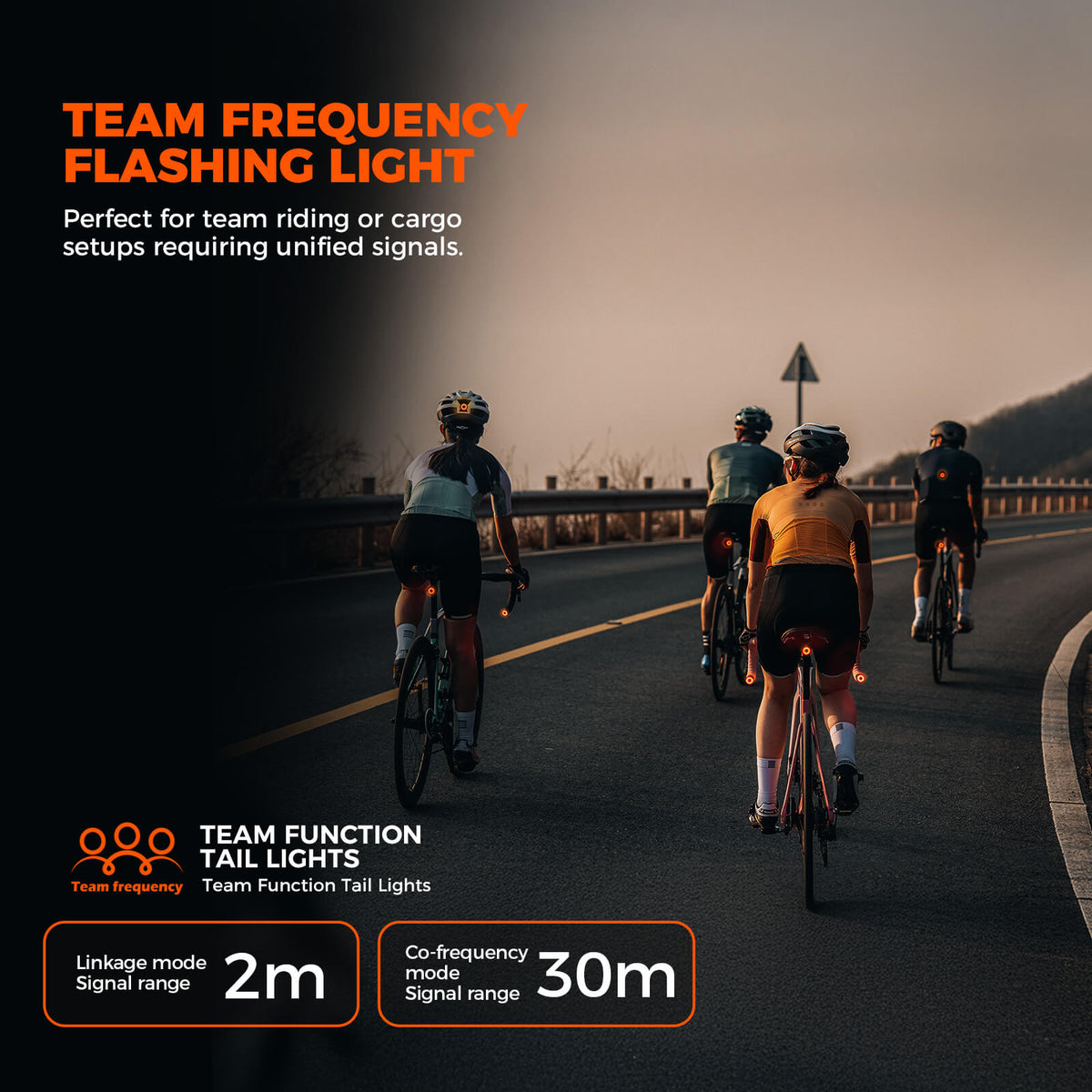 Bike Light original source image 7