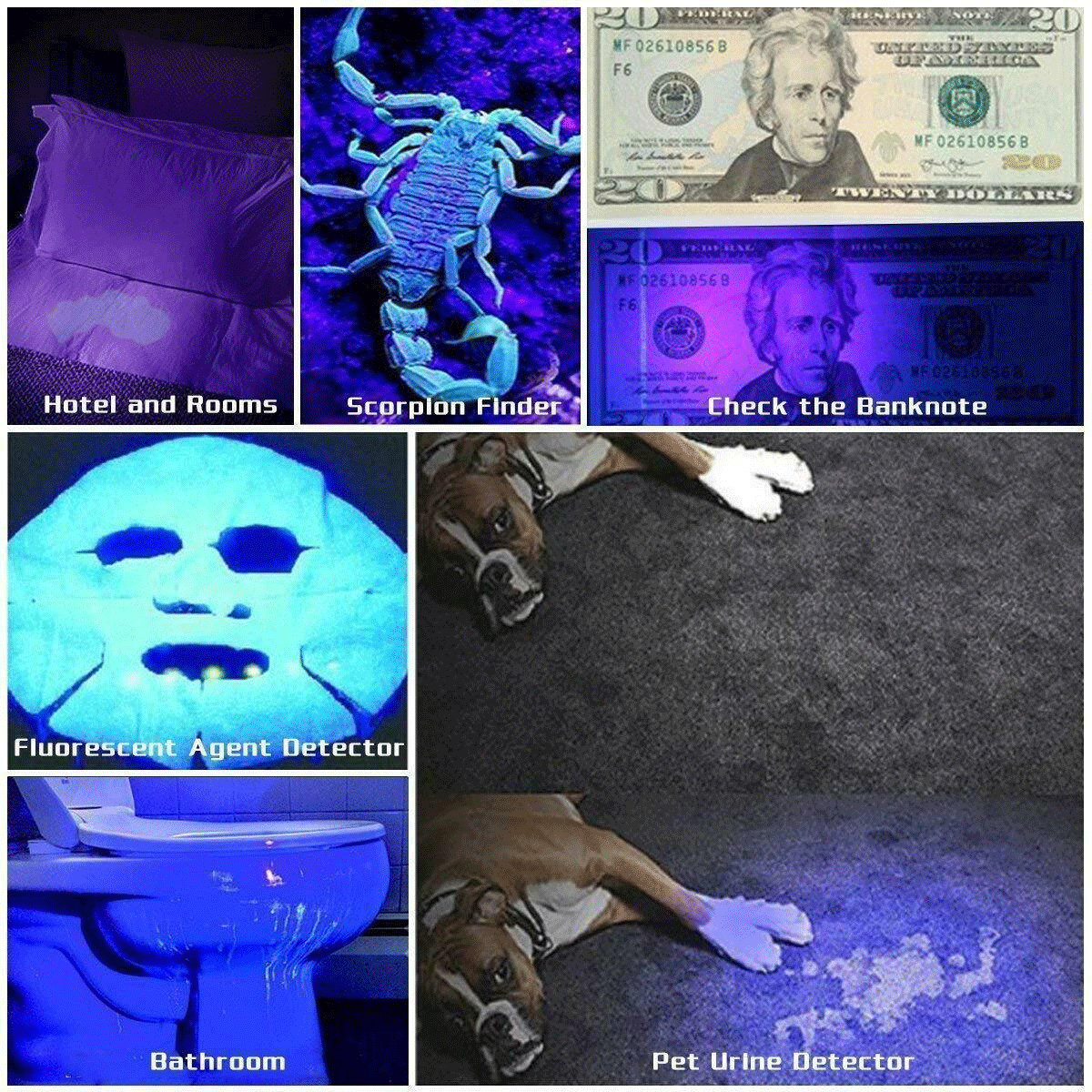 UV Blacklight Flashlight 395nm – 21, 51 & 100 LED Torch