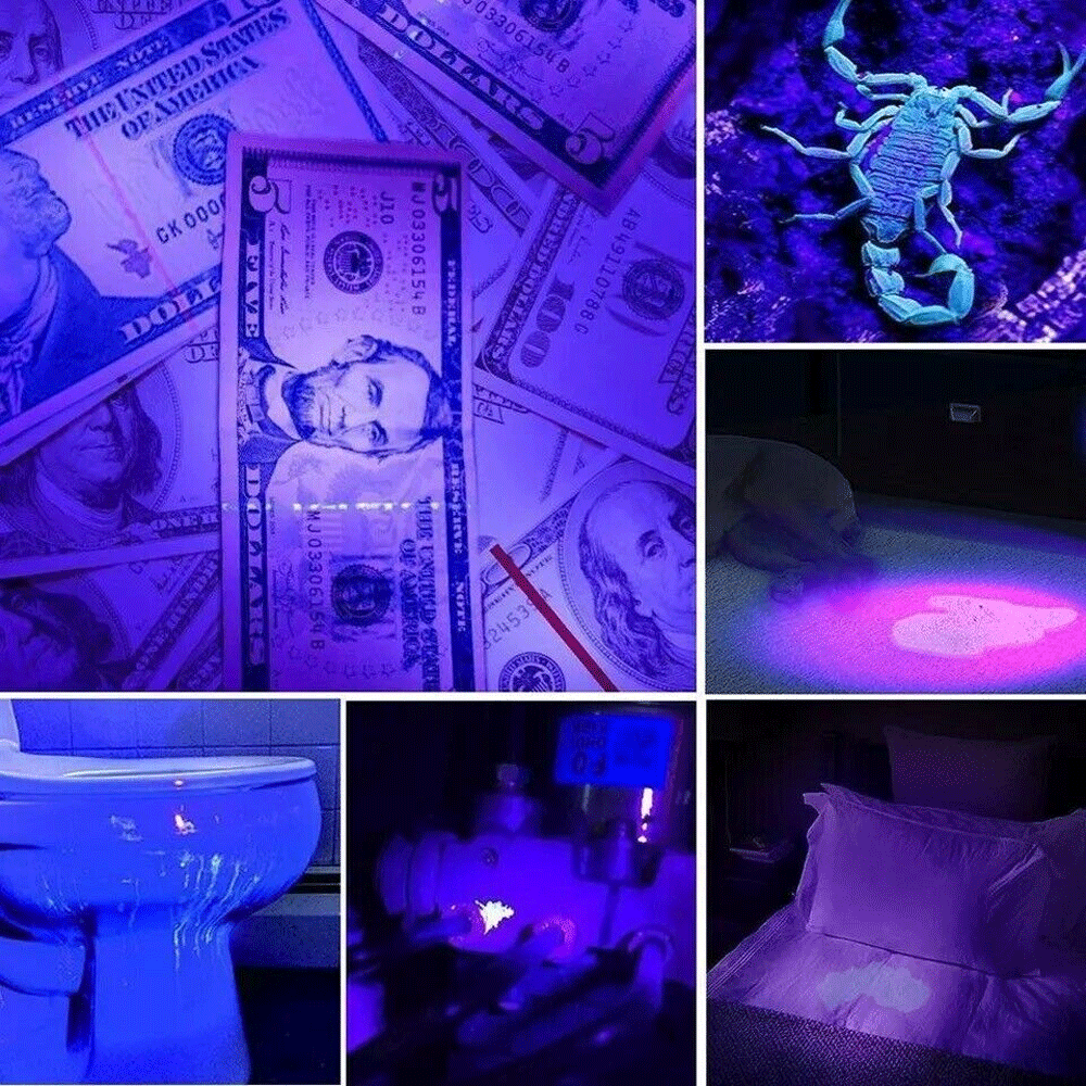 UV Blacklight Flashlight 395nm – 21, 51 & 100 LED Torch