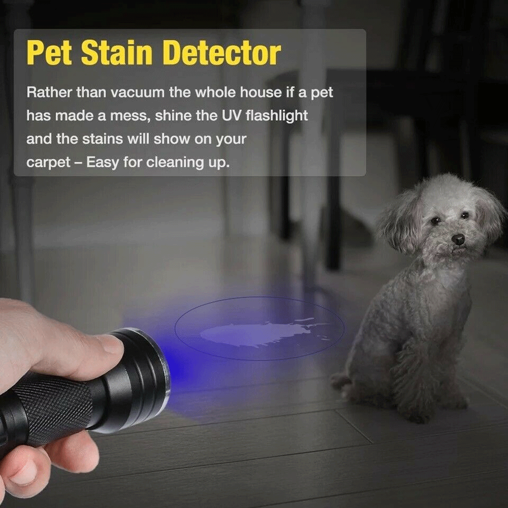 UV Blacklight Flashlight 395nm – 21, 51 & 100 LED Torch