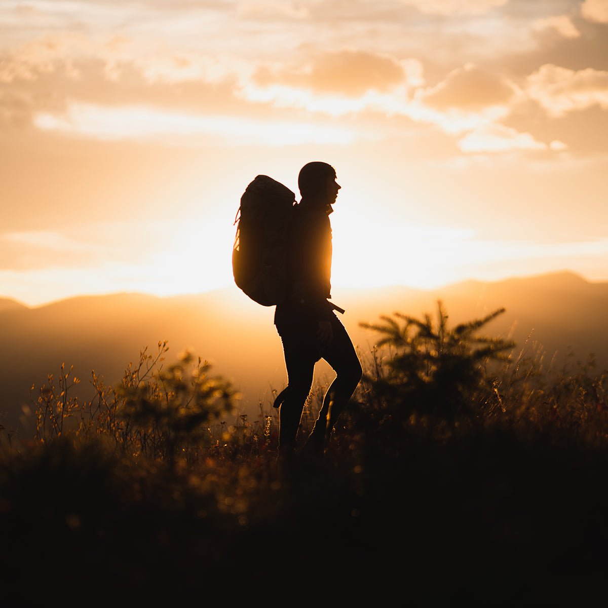 Hiking Backpack original source view 16
